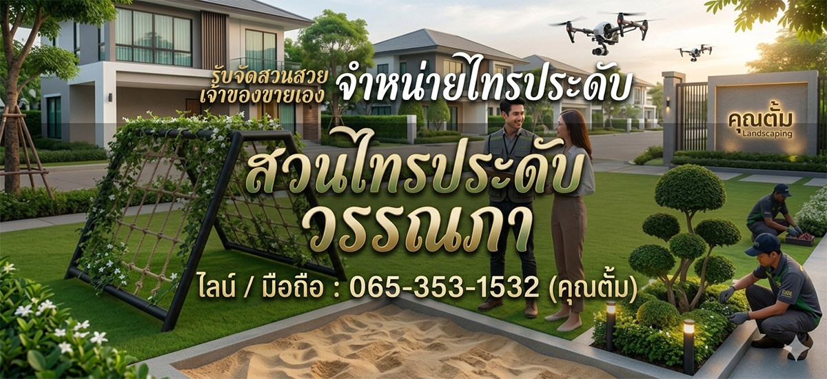 รับจัดสวน จำหน่ายไทรเกาหลี ไม้ประดับ